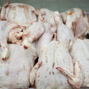Chicken Meat